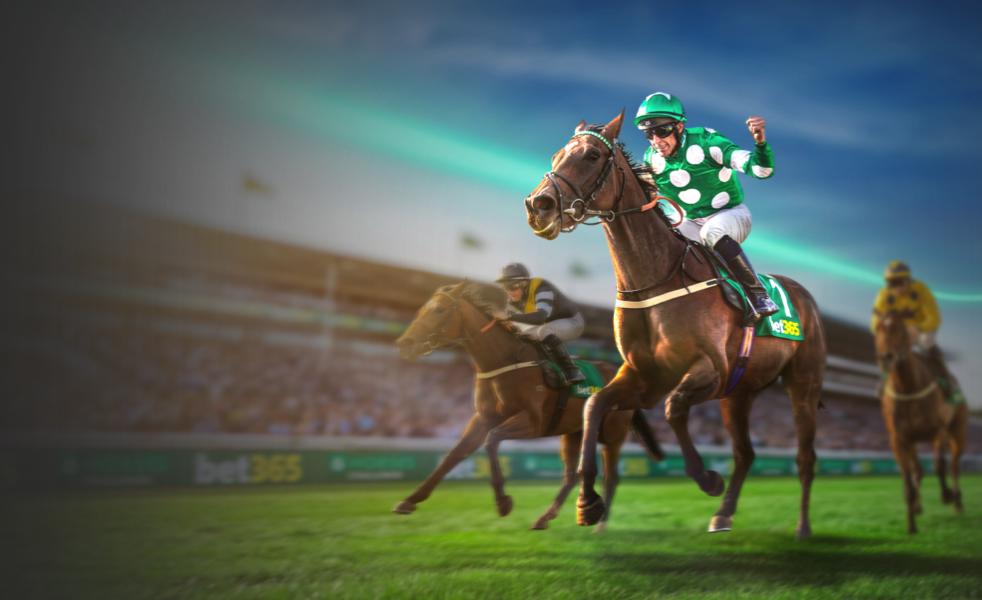 6 Horses Challenge Contentful Banner