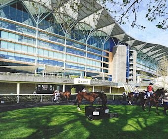 Ascot Racecourse Guide