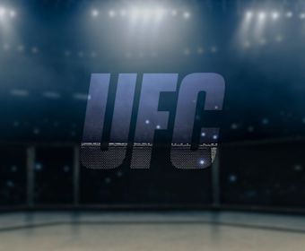 ufc flyweights